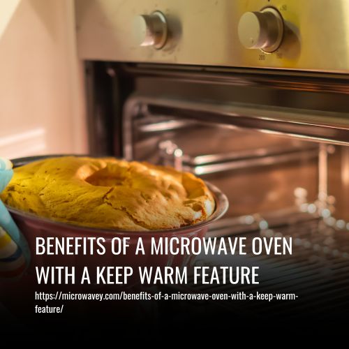 Read more about the article The Benefits Of A Microwave Oven With A Keep Warm Feature