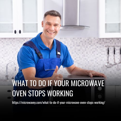 Read more about the article What To Do If Your Microwave Oven Stops Working