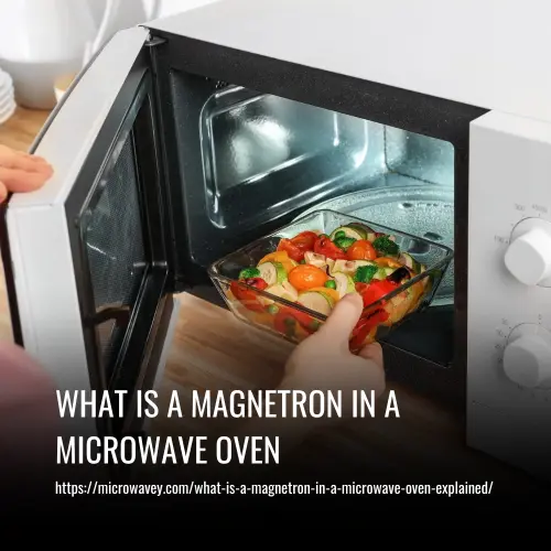 What is a Magnetron in a Microwave Oven