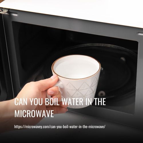 Read more about the article Can You Boil Water in the Microwave
